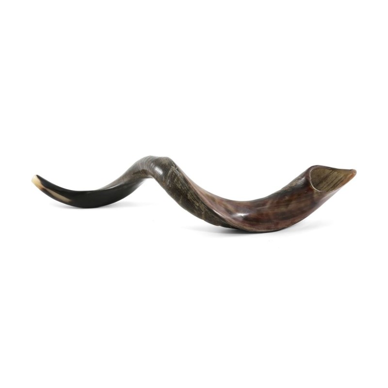 30'-32' Yemenite Kudu Shofar - Half-Polished