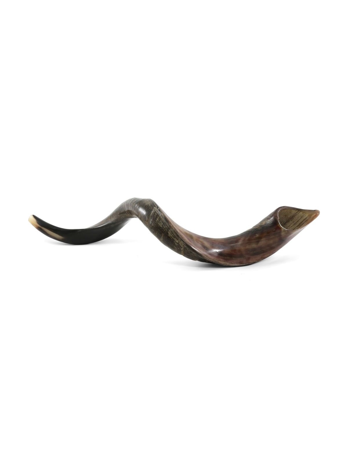 30'-32' Yemenite Kudu Shofar - Half-Polished