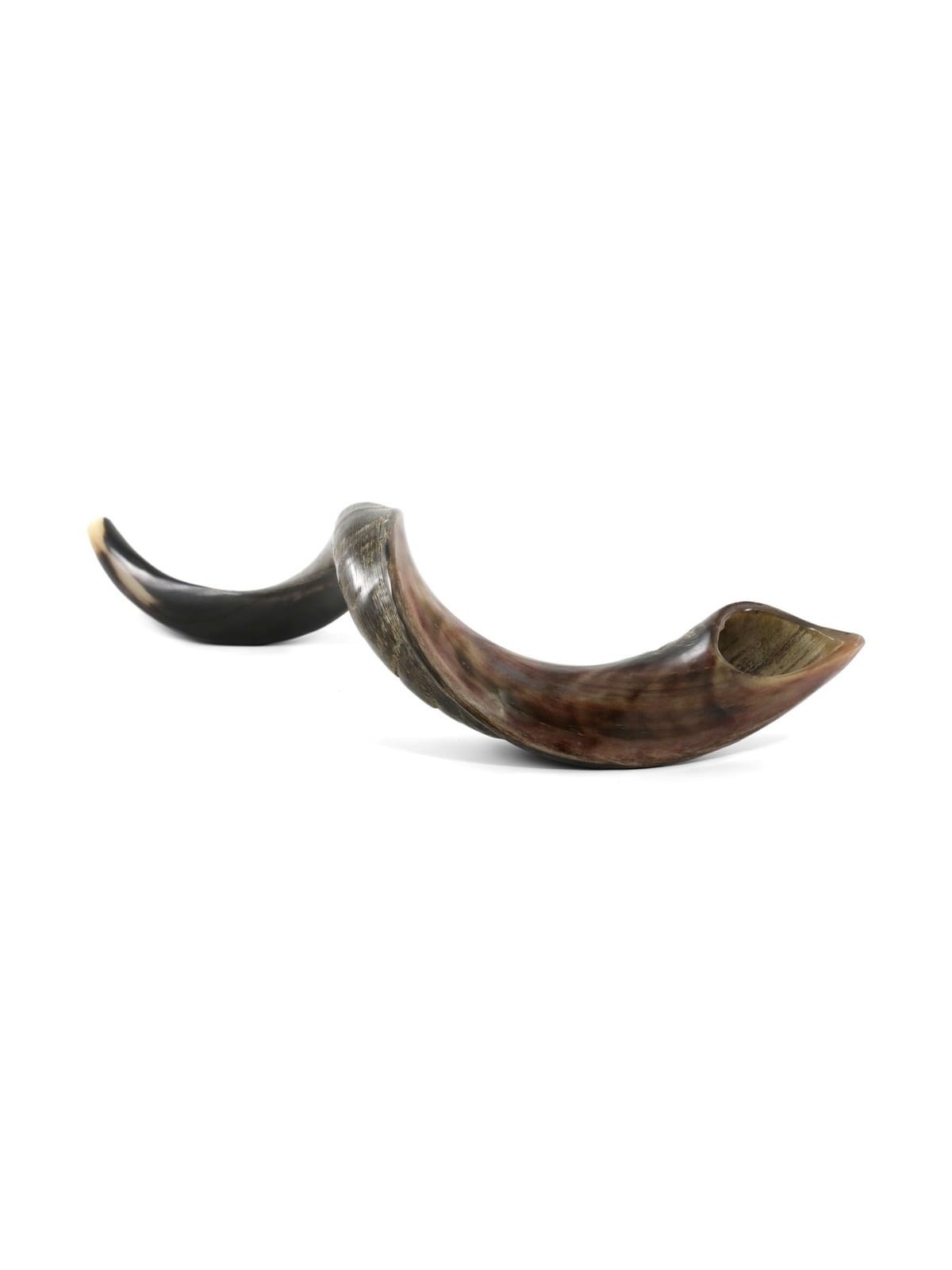 30'-32' Yemenite Kudu Shofar - Half-Polished