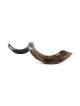 30'-32' Yemenite Kudu Shofar - Half-Polished