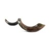 30'-32' Yemenite Kudu Shofar - Half-Polished