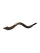 30'-32' Yemenite Kudu Shofar - Half-Polished