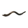30'-32' Yemenite Kudu Shofar - Half-Polished