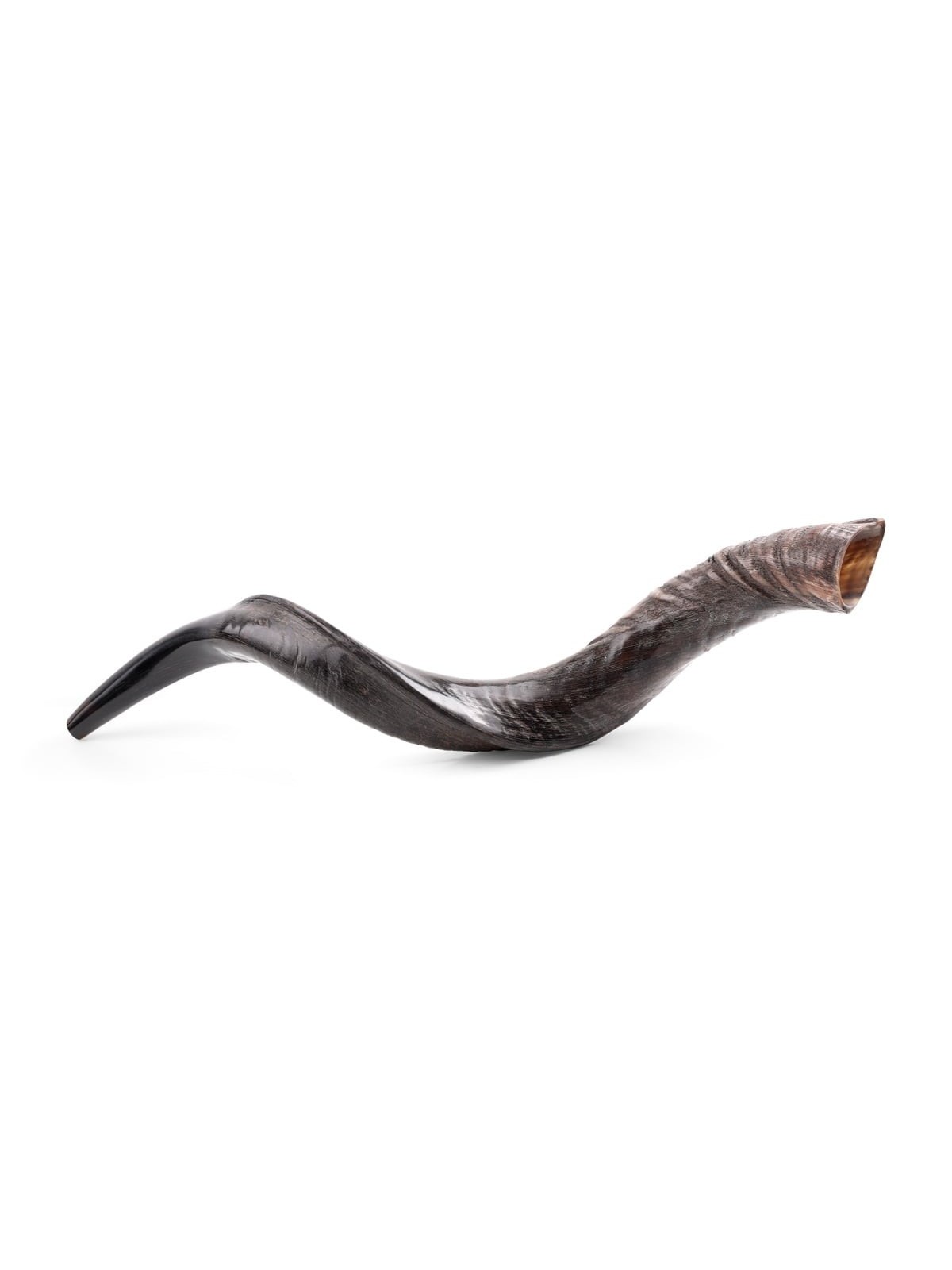 28'-30' Yemenite Kudu Shofar - Natural