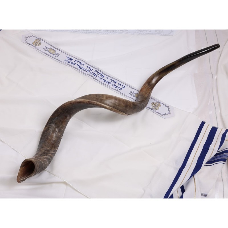 28'-30' Yemenite Kudu Shofar - Natural