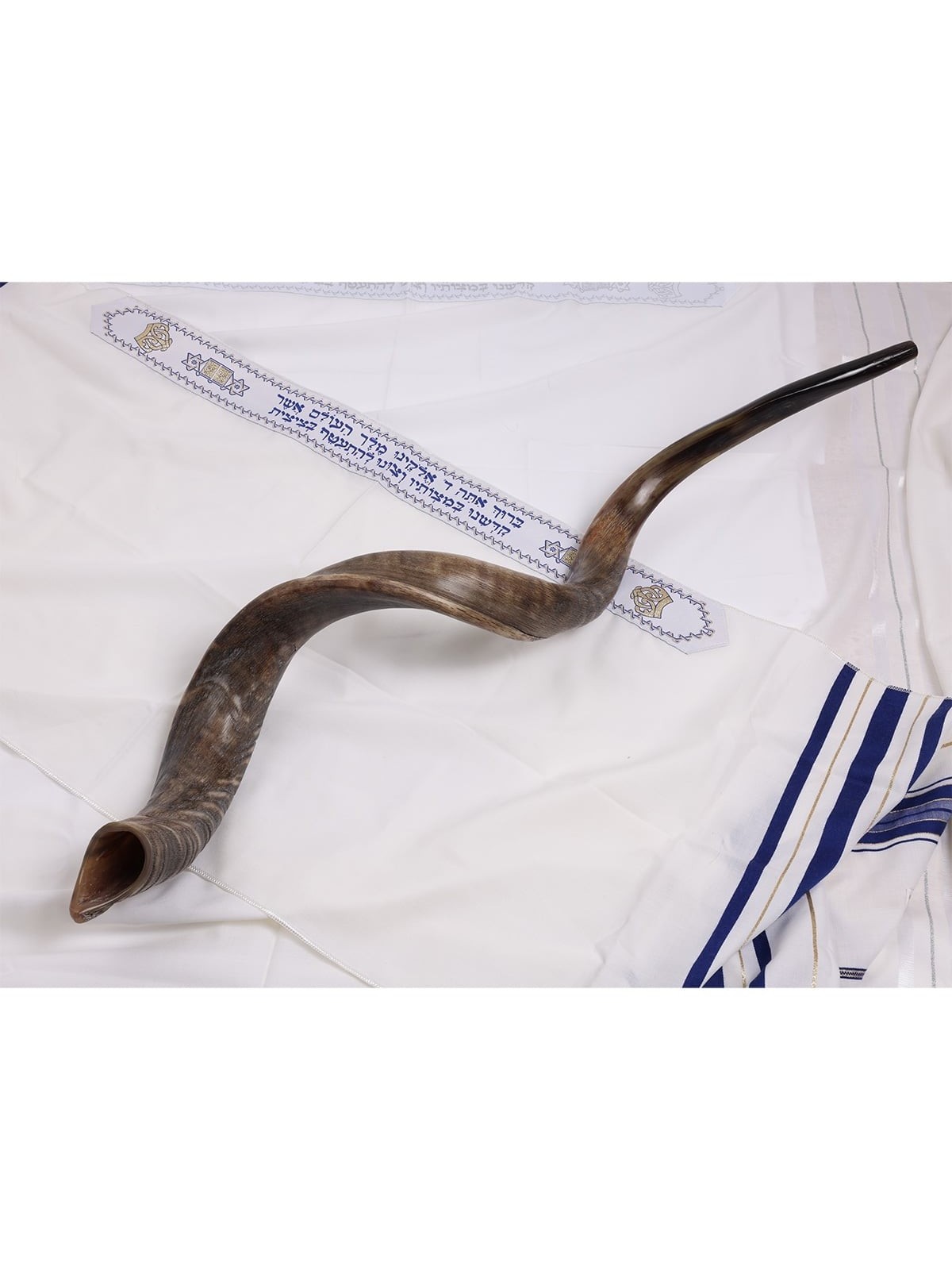 28'-30' Yemenite Kudu Shofar - Natural