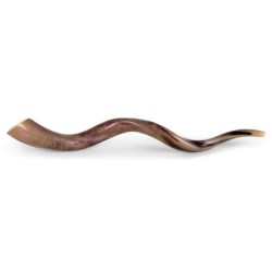 28'-30' Yemenite Kudu Shofar - Polished