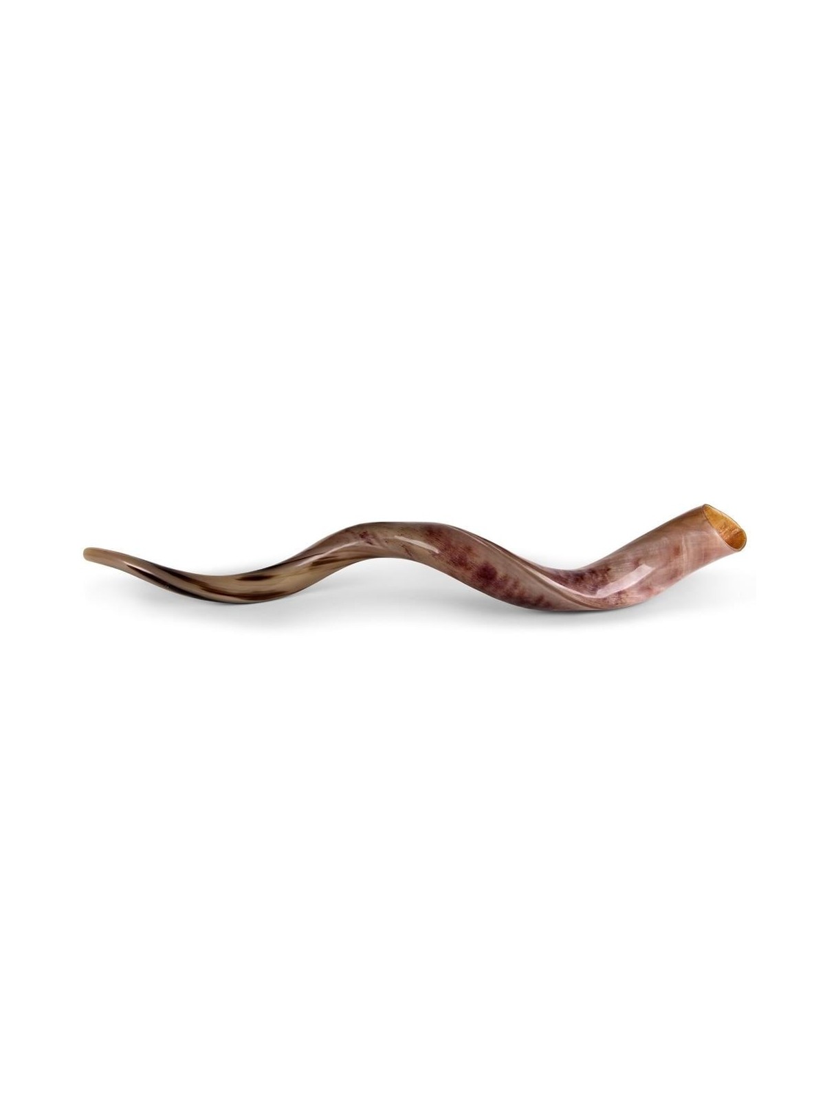 28'-30' Yemenite Kudu Shofar - Polished
