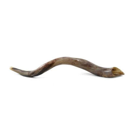 36'-38' Yemenite Kudu Shofar - Polished