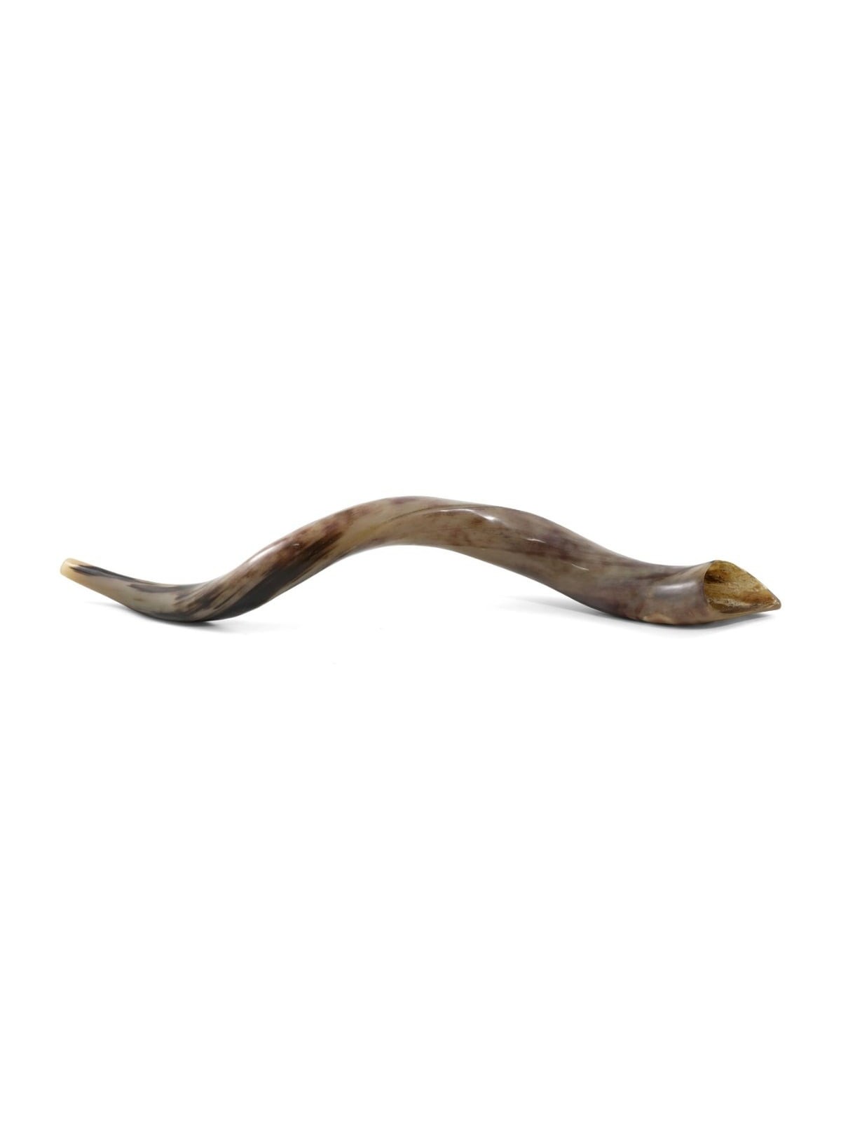 36'-38' Yemenite Kudu Shofar - Polished