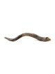 36'-38' Yemenite Kudu Shofar - Polished