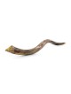 36'-38' Yemenite Kudu Shofar - Polished