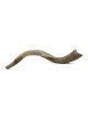 22'-24' Yemenite Kudu Shofar - Half-Polished