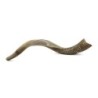 22'-24' Yemenite Kudu Shofar - Half-Polished