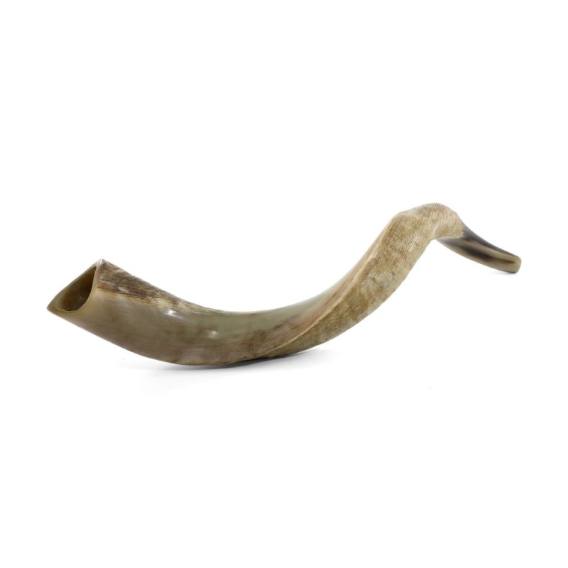 22'-24' Yemenite Kudu Shofar - Half-Polished
