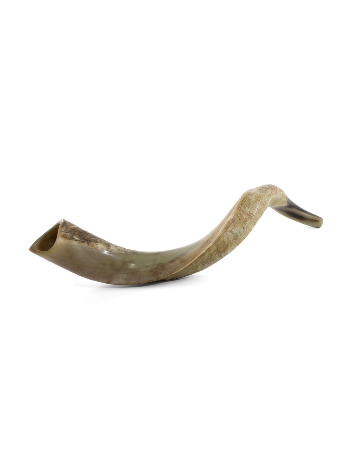 22'-24' Yemenite Kudu Shofar - Half-Polished