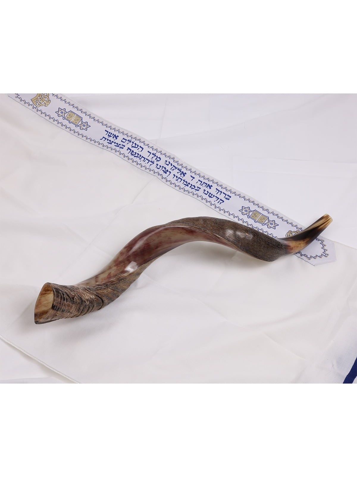 22'-24' Yemenite Kudu Shofar - Half-Polished
