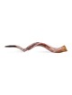 42'-44' Yemenite Kudu Shofar - Polished