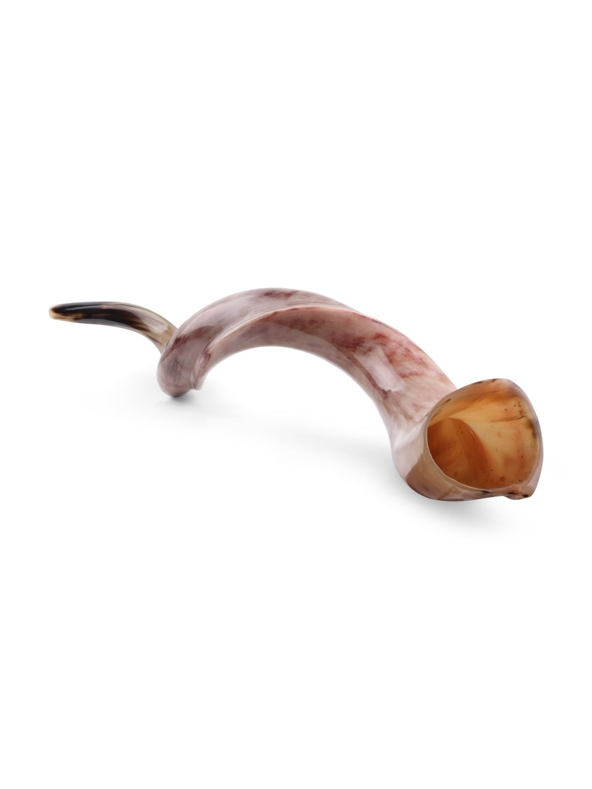 42'-44' Yemenite Kudu Shofar - Polished