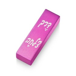 Adi Sidler Way of Success Car Mezuzah