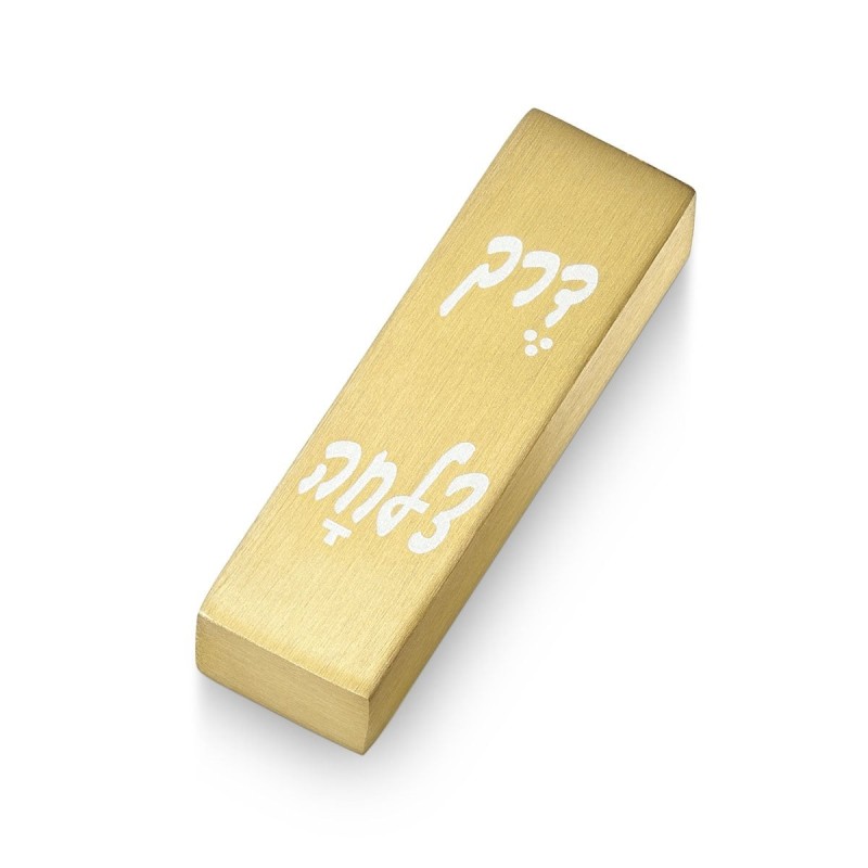 Adi Sidler Way of Success Car Mezuzah