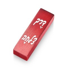 Adi Sidler Way of Success Car Mezuzah