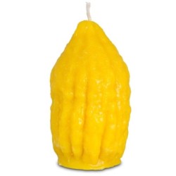 Galilee Style Candles Havdalah Etrog Candle