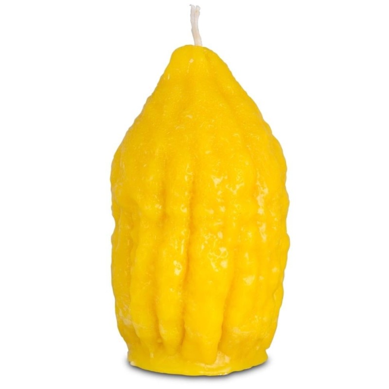 Galilee Style Candles Havdalah Etrog Candle