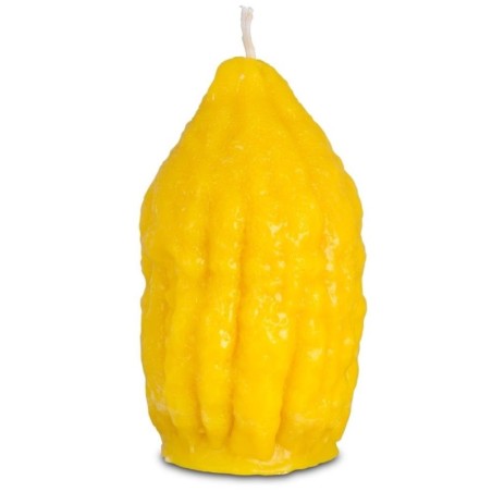 Galilee Style Candles Havdalah Etrog Candle