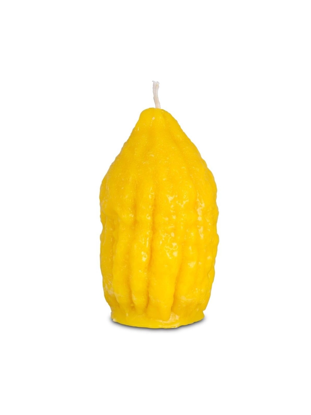 Galilee Style Candles Havdalah Etrog Candle