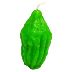 Galilee Style Candles Havdalah Etrog Candle