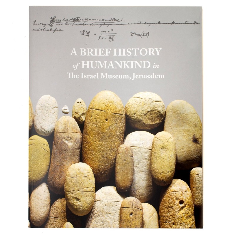A Brief History of Humankind in The Israel Museum, Jerusalem (Paperbac