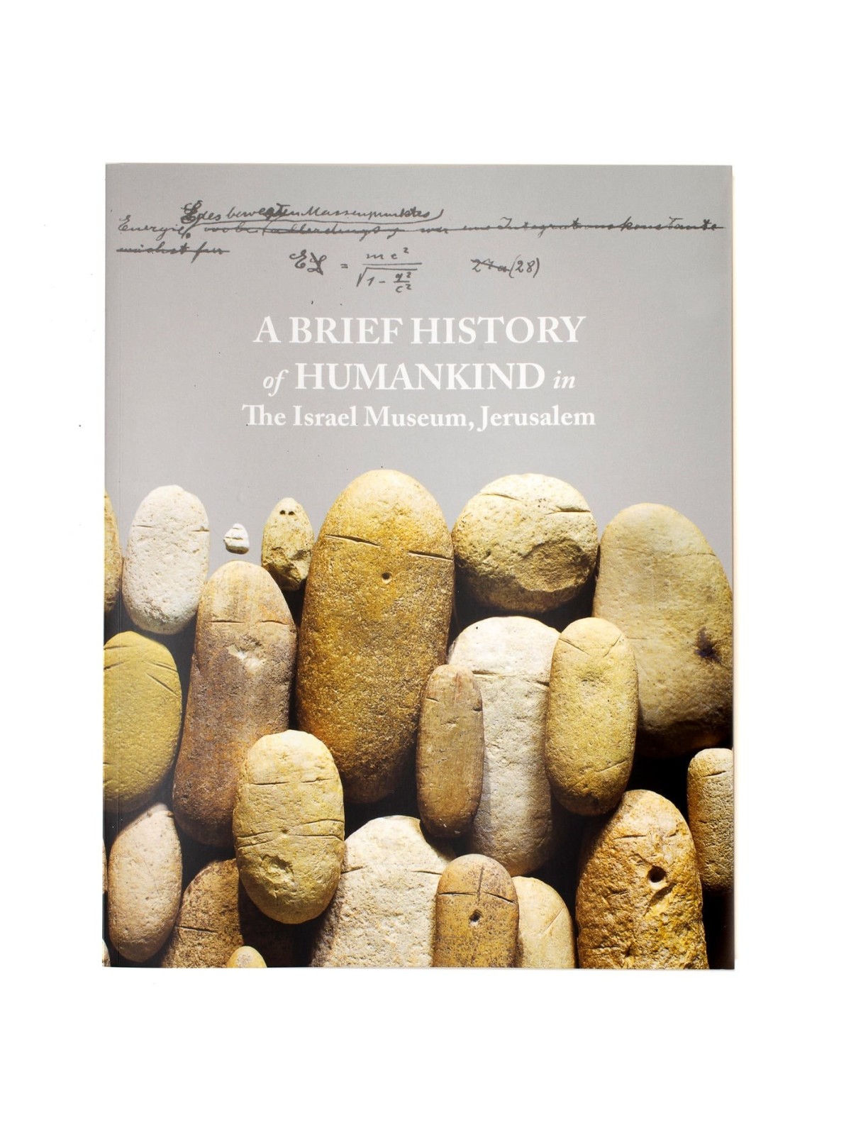 A Brief History of Humankind in The Israel Museum, Jerusalem (Paperbac