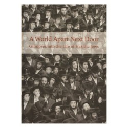 A World Apart Next Door: Glimpses into the Life of Hasidic Jews