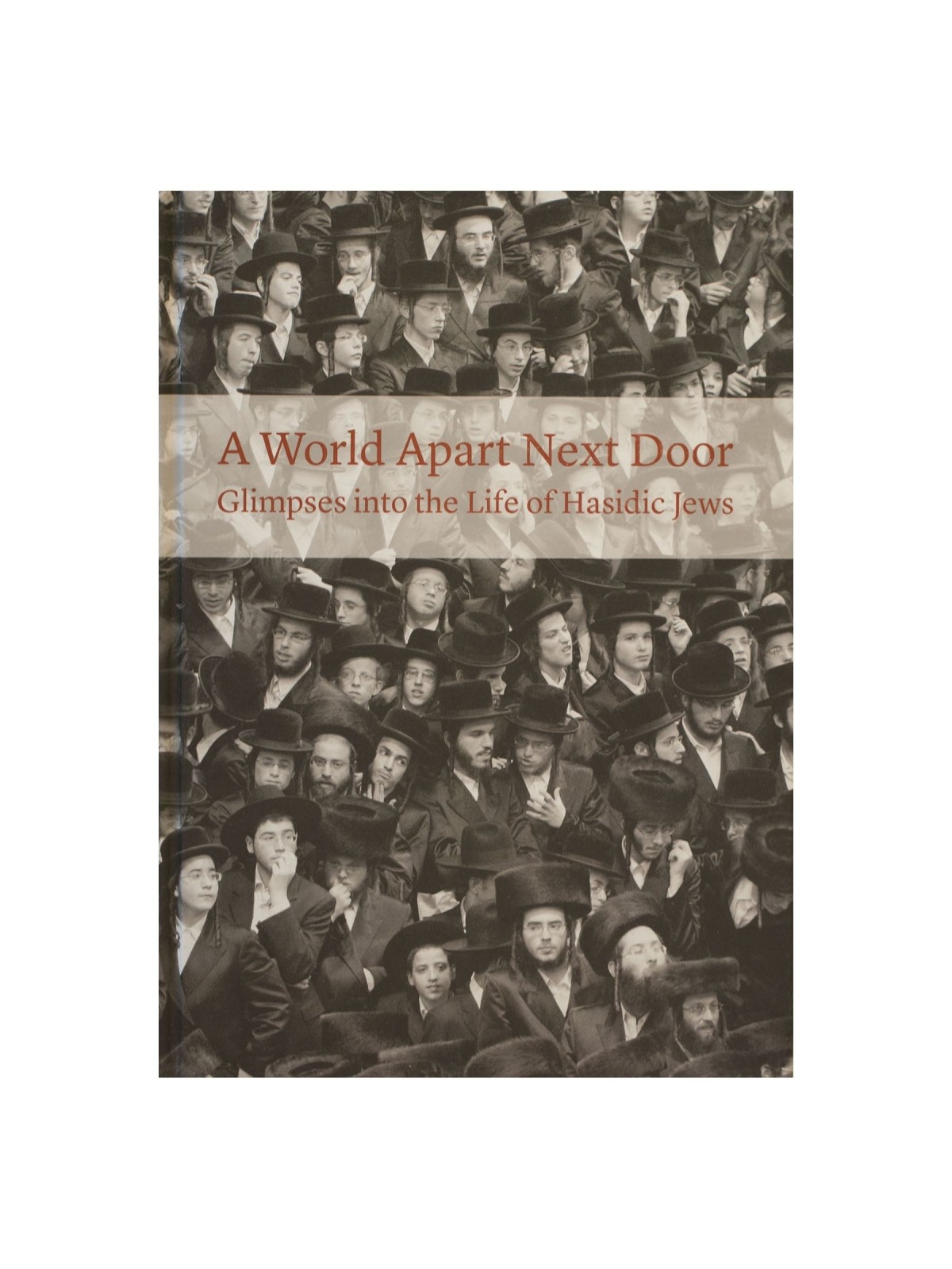 A World Apart Next Door: Glimpses into the Life of Hasidic Jews