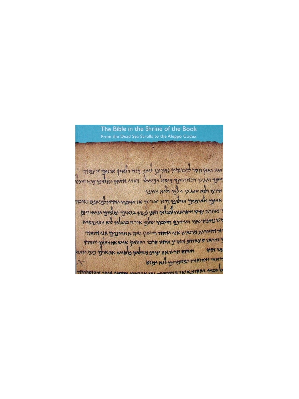The Bible in the Shrine of the Book: From the Dead Sea Scrolls to the