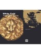 White Gold: Revealing the World's Earliest Coins. Israel Museum (2012)