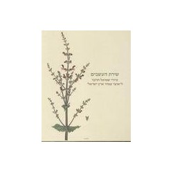 The Botanist's Brush: Shmuel Charuvi's Drawings for the Hareuveni Flor