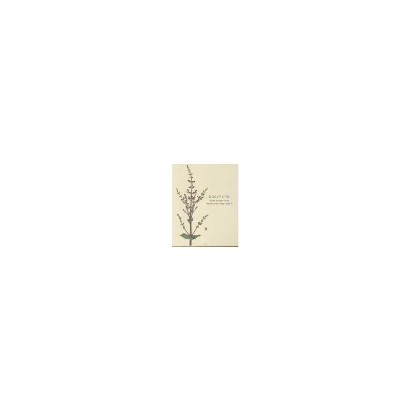 The Botanist's Brush: Shmuel Charuvi's Drawings for the Hareuveni Flor