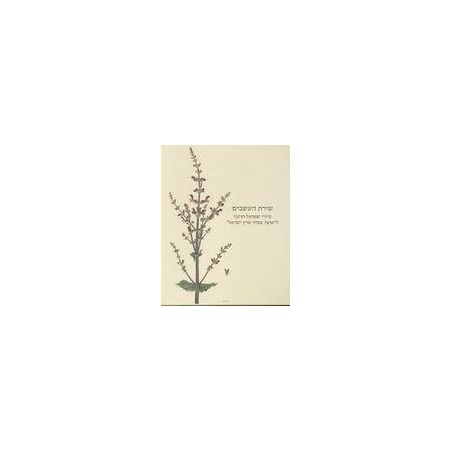 The Botanist's Brush: Shmuel Charuvi's Drawings for the Hareuveni Flor