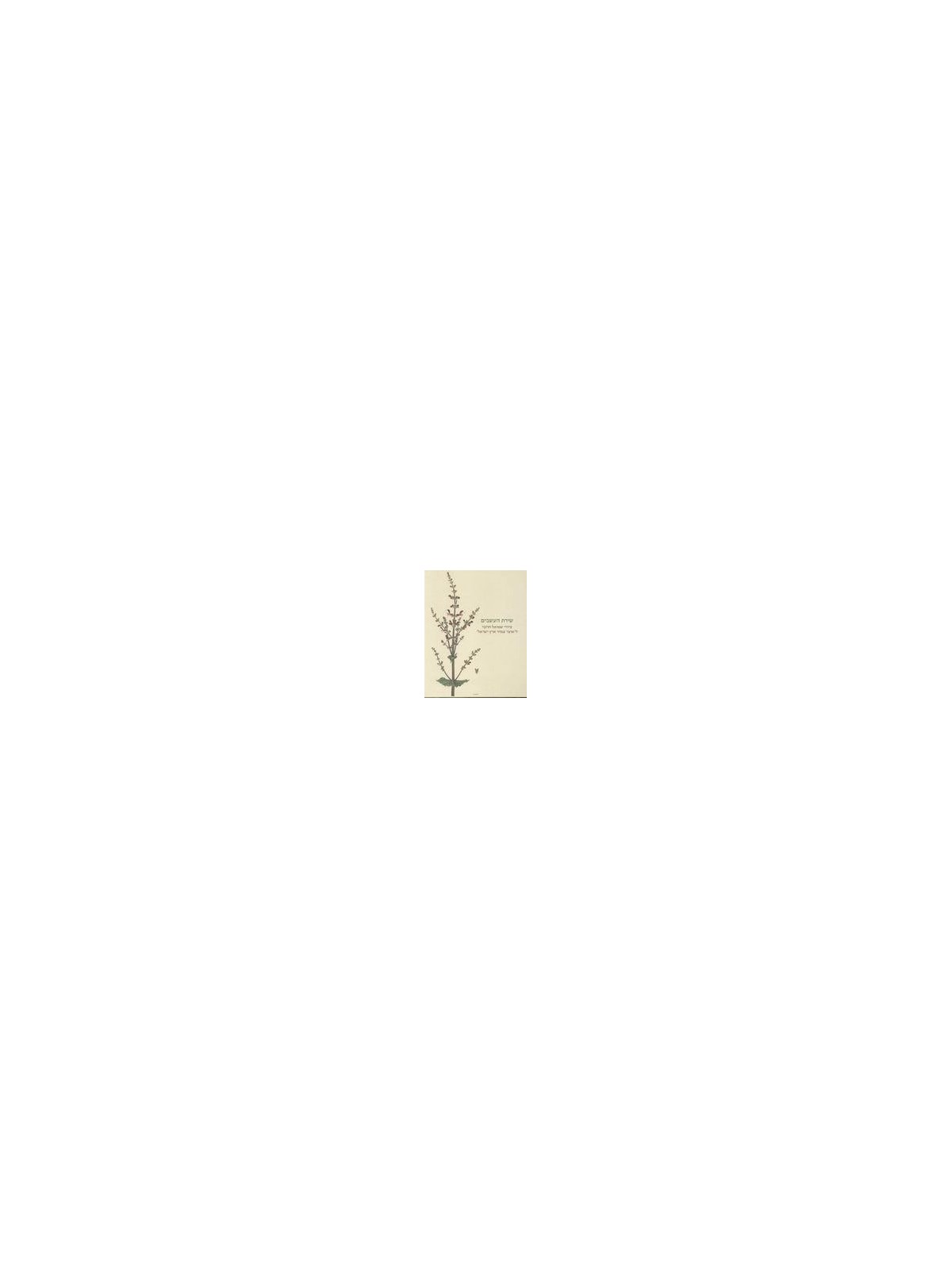 The Botanist's Brush: Shmuel Charuvi's Drawings for the Hareuveni Flor