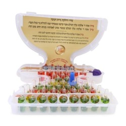 Set of 44 Pre-filled Hanukkah Olive Oil Ampoules