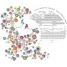 Ruth Rudin Personalized Ketubah - 'Love Birds'