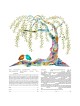 Ruth Rudin Personalized Vibrant Willow Tree Romance Ketubah