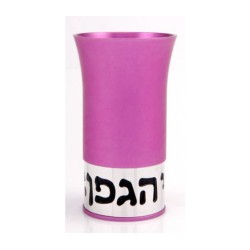 Hot Pink Kiddush Cup by Agayof | Fountains and Kiddush Cups by Agayof