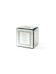 Rectangular Crystal Tzedakah Box with VeZakeinu Pr... | Tzedakah boxes