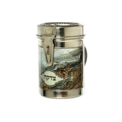 Tall Charity Box with Handle Gleaming Silver with ... | Tzedakah boxes