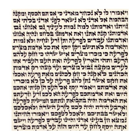 Ashkenaz Ktav Beit Yossef Torah Scroll | Torah Scrolls - Sefer Torah