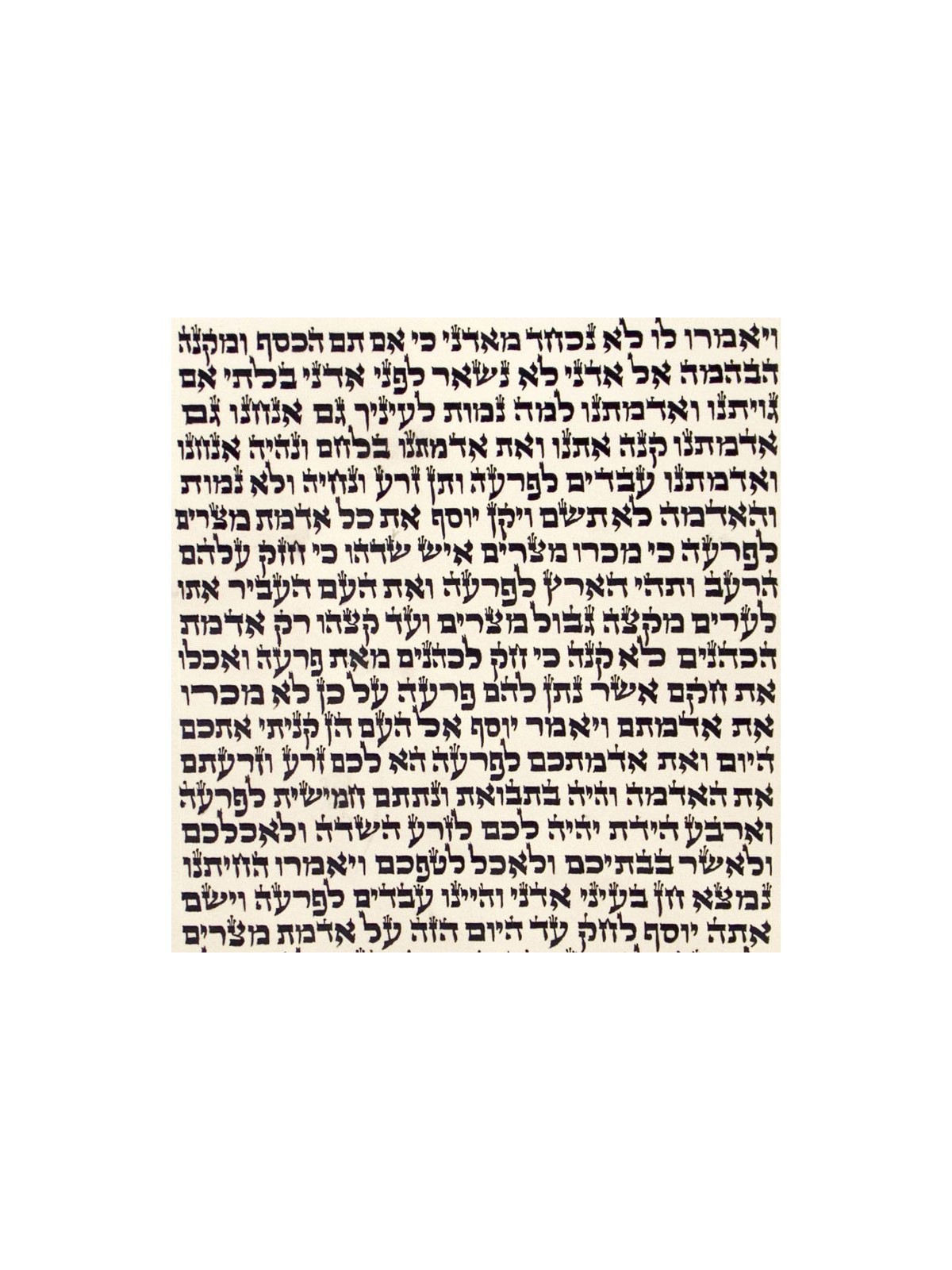 Ashkenaz Ktav Beit Yossef Torah Scroll | Torah Scrolls - Sefer Torah