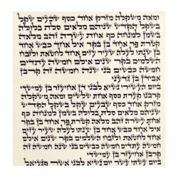 Ashkenaz Torah Scroll Ktav Ari | Torah Scrolls - Sefer Torah